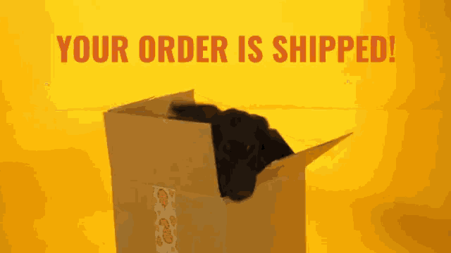 Use this adorable order shipped GIF! Great for e-commerce businesses to add a touch of fun to delivery confirmations.