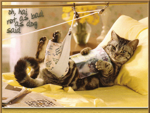 Download this cart recovery success GIF for free. Use it to celebrate wins in your ecommerce Slack channel.