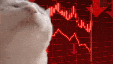 React to market dips with this 'Stonks Bad' GIF. Use in Slack for fintech discussions.