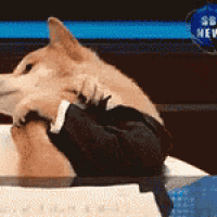 Share this professional yet fun GIF for economic reports. Great for finance teams reacting to news. Use in Teams.