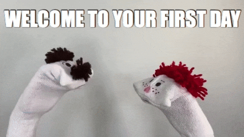 Send this 'First Day Welcome' GIF to boost morale for new employees. Great for HR to kick off onboarding.