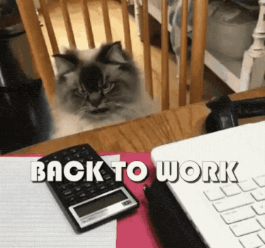 Use this 'Back to Work' cat GIF to welcome new hires. Ideal for HR and onboarding in Slack or email.