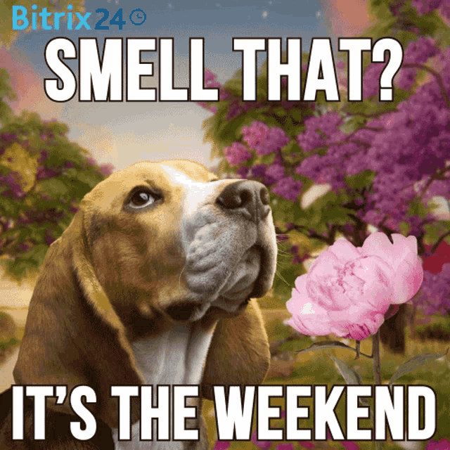 Download this 'smelling the weekend' GIF for free. Perfect for team chats and expressing Friday relief.