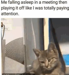 Download this falling asleep in meeting GIF for free. Perfect for expressing boredom in Slack.