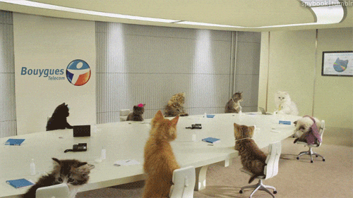 Download this frustrated team meeting GIF for free. Ideal for expressing team exasperation with SaaS issues.